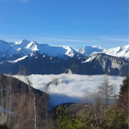 Montagnard Vue Splendide Apartment *